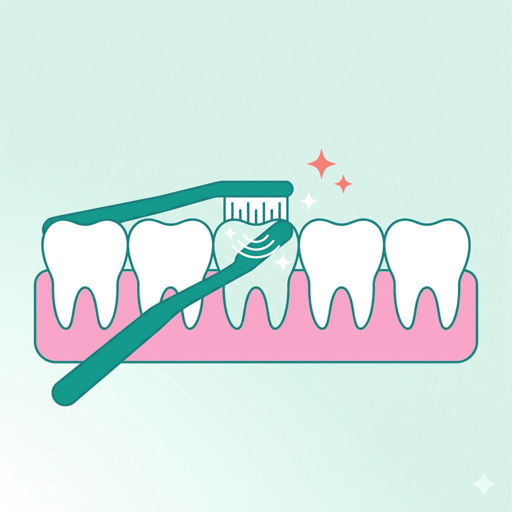 La technique de brossage recommandée par les dentistes